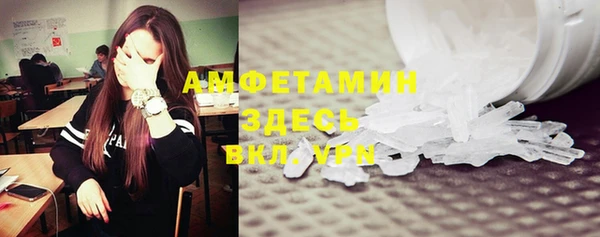 стафф Заводоуковск