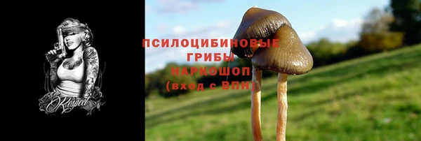 стафф Заводоуковск