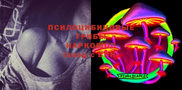 стафф Заводоуковск