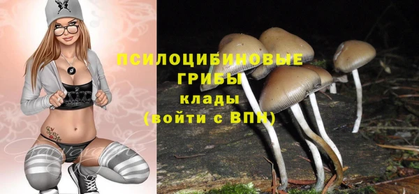 стафф Заводоуковск