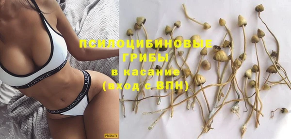 стафф Заводоуковск