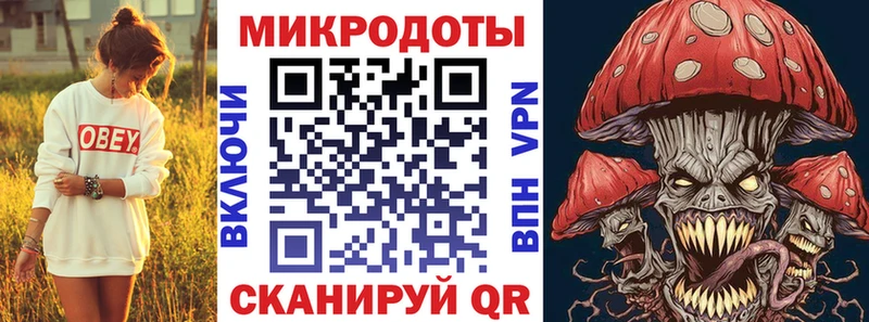Купить Карпинск Галлюциногенные грибы Psilocybine cubensis
